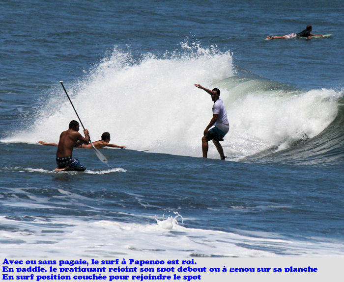 JPEG image