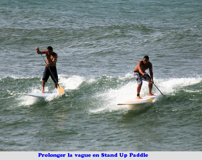 JPEG image