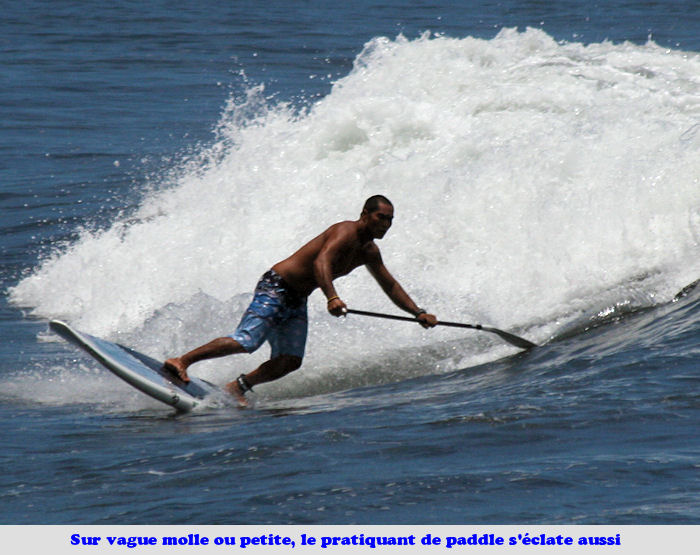 JPEG image