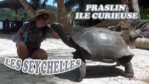 Vidéo Seychelles